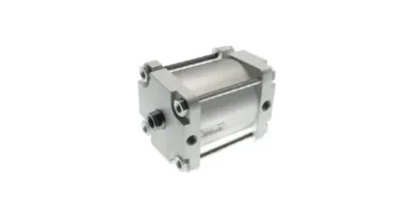 Aignep Cilindri pneumatici ISO 15552, alezaj foarte mare seria P