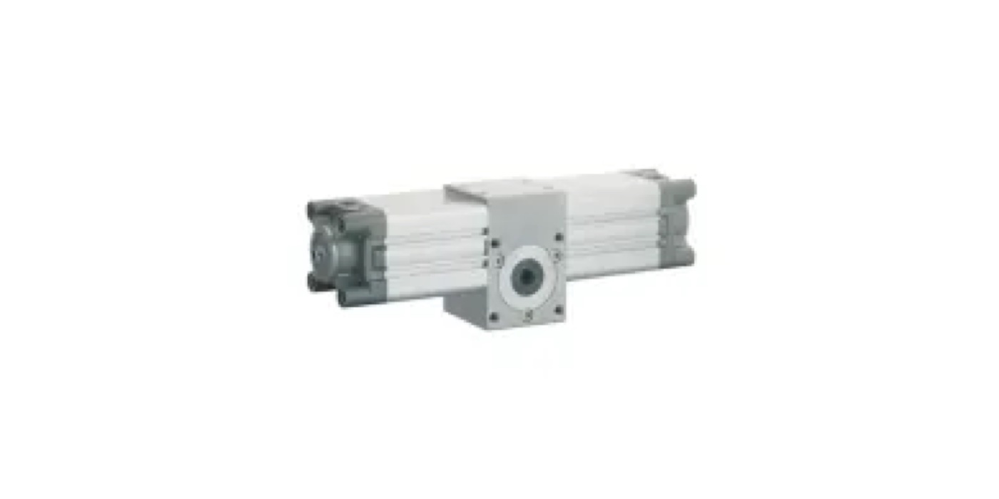 Aignep Actuatoare rotative pneumatice, unghi reglabil până la 360° seria XR