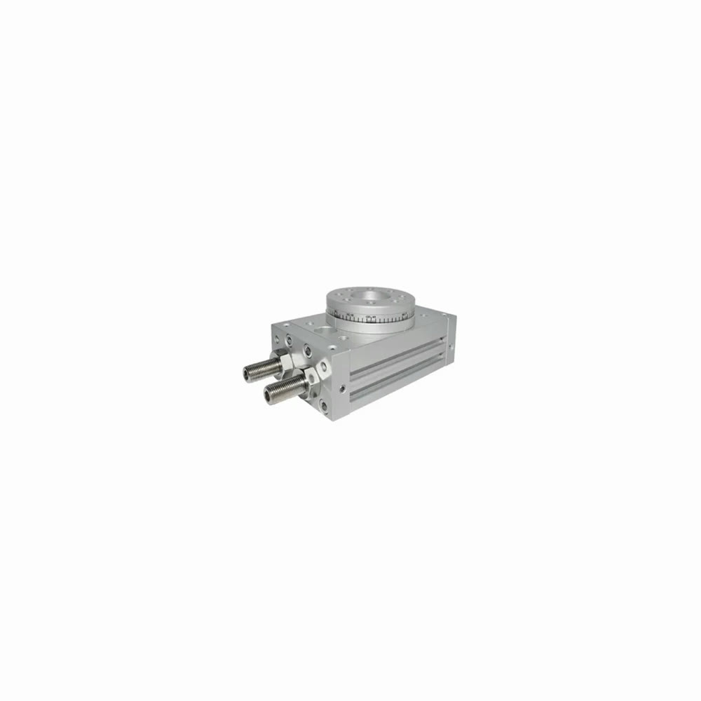 Aignep Cilindri rotativi pneumatici seria RT01